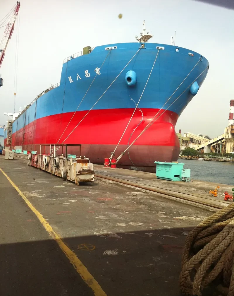 TAIPOWER PROSPERITY VIII Bulk Carrier IMO 9567623 photo 5