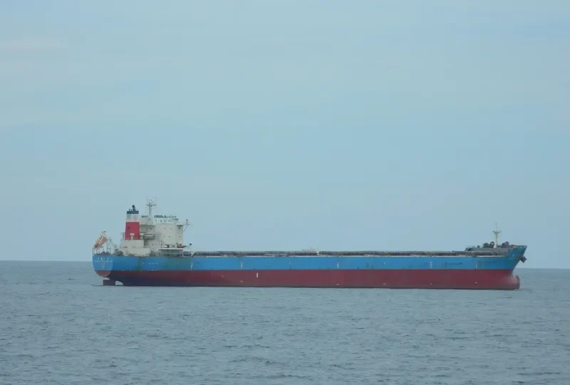 TAIPOWER PROSPERITY VIII Bulk Carrier IMO 9567623 photo 6
