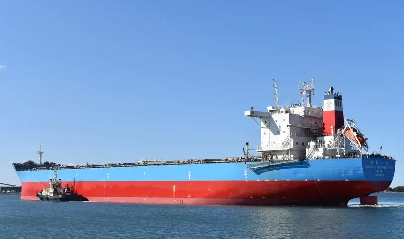 TAIPOWER PROSPERITY VIII Bulk Carrier IMO 9567623 photo 8