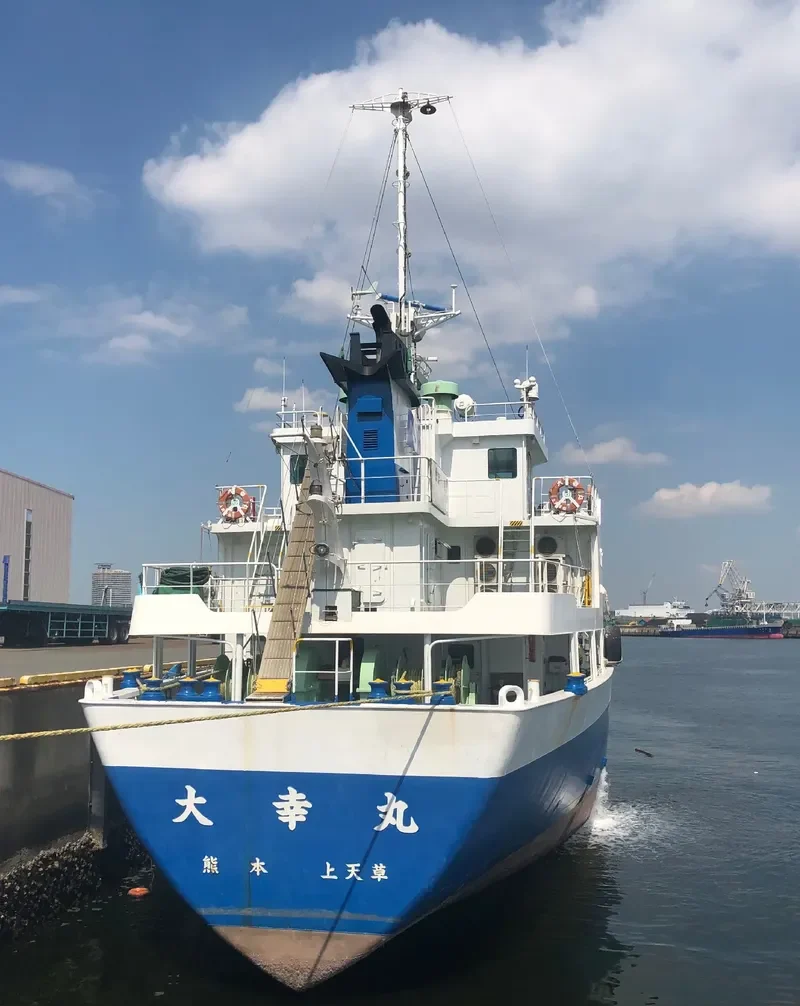 TAIKOU MARU General Cargo IMO 9567805 photo 10