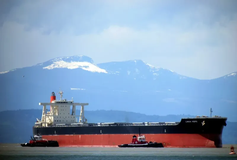 LINDA HOPE Bulk Carrier IMO 9567984 photo 4