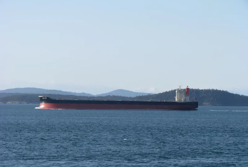 LINDA HOPE Bulk Carrier IMO 9567984 photo 5