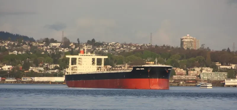LINDA HOPE Bulk Carrier IMO 9567984 photo 9