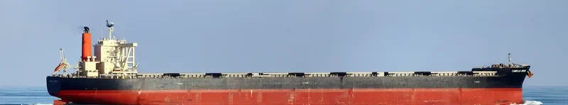 CAMELLIA DREAM Bulk Carrier IMO 9568017 photo 2
