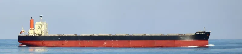 CAMELLIA DREAM Bulk Carrier IMO 9568017 photo 3