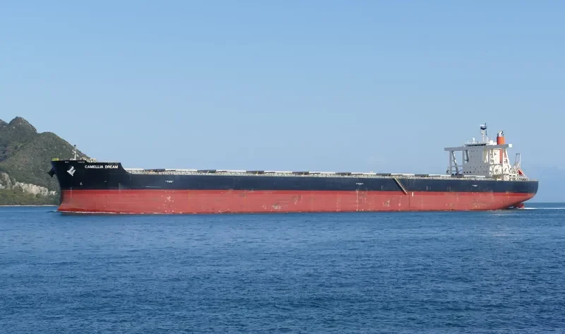 CAMELLIA DREAM Bulk Carrier IMO 9568017 photo 5