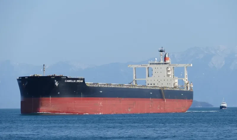 CAMELLIA DREAM Bulk Carrier IMO 9568017 photo 6