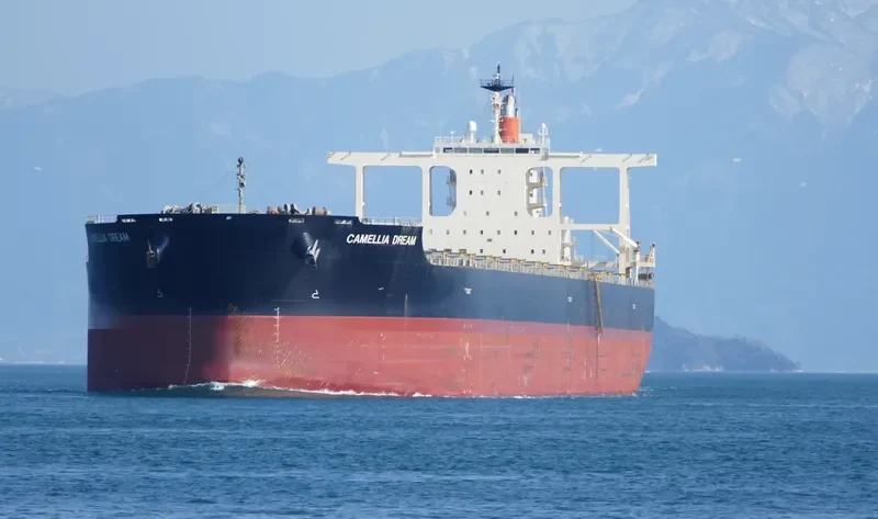 CAMELLIA DREAM Bulk Carrier IMO 9568017 photo 7