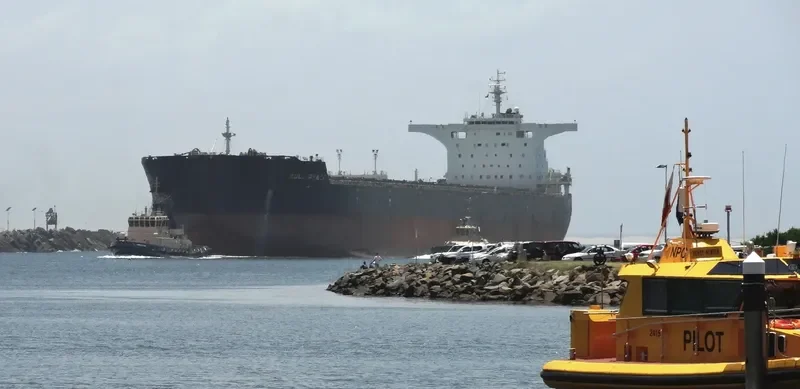 BULK PEACE Bulk Carrier IMO 9568067 photo 3