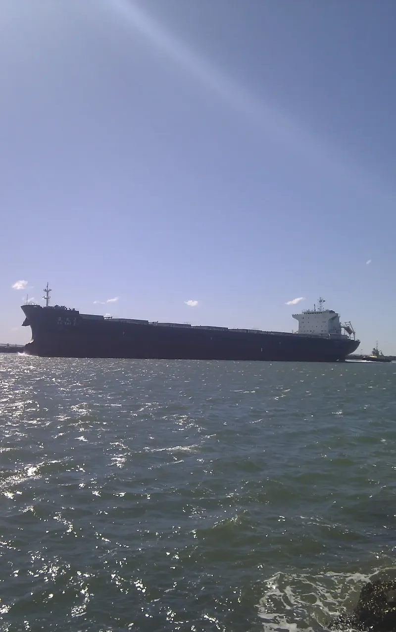 TAN FU MING SHENG Bulk Carrier IMO 9568160 photo 6