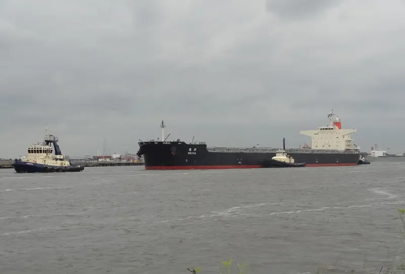 REIYO Bulk Carrier IMO 9568201 photo 3