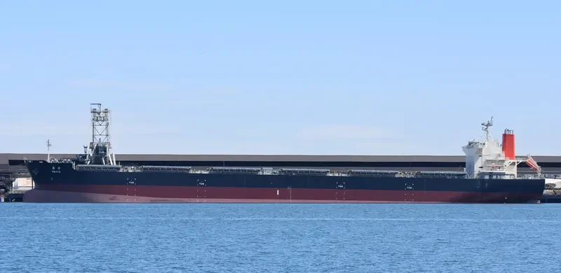REIYO Bulk Carrier IMO 9568201 photo 8