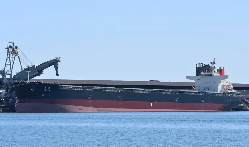 REIYO Bulk Carrier IMO 9568201 photo 9