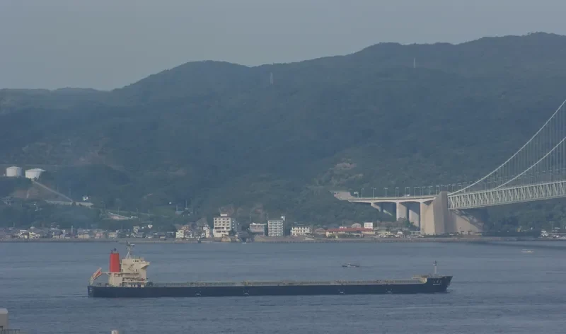 MIZUNAGI II Bulk Carrier IMO 9568213 photo 2