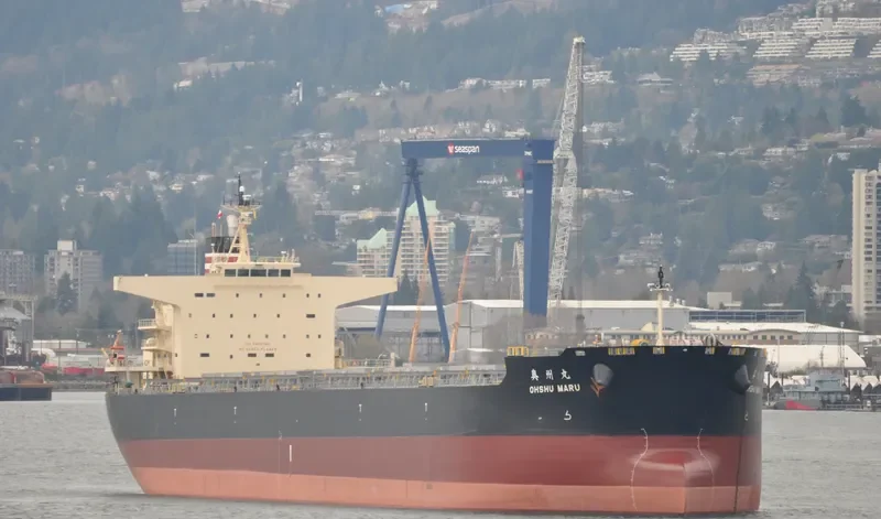 OHSHU MARU Bulk Carrier IMO 9568237
