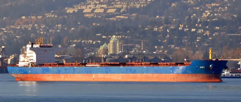 LESTARI MANJUNG Bulk Carrier IMO 9568574 photo 4