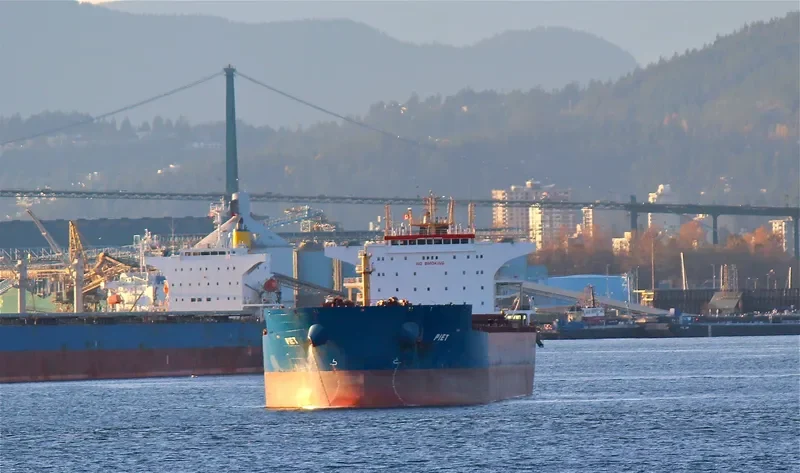 LESTARI MANJUNG Bulk Carrier IMO 9568574 photo 6