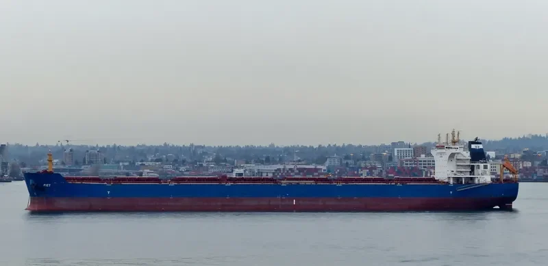 LESTARI MANJUNG Bulk Carrier IMO 9568574 photo 7