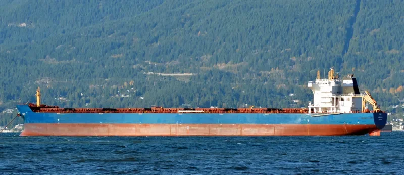 LESTARI MANJUNG Bulk Carrier IMO 9568574 photo 10