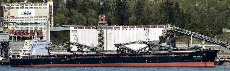 STAR PEACE Bulk Carrier IMO 9568718