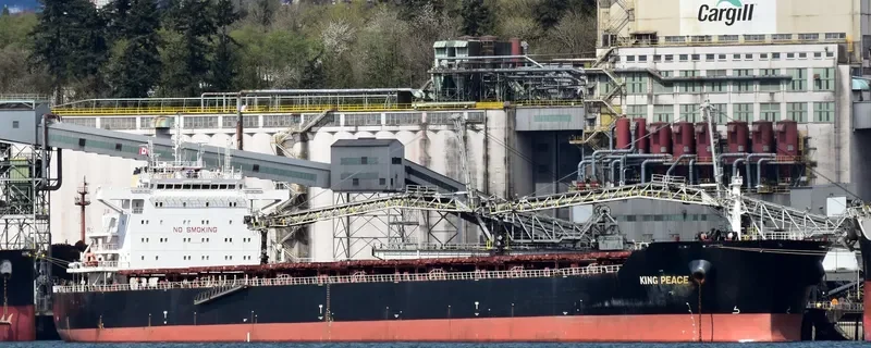 STAR PEACE Bulk Carrier IMO 9568718 photo 2