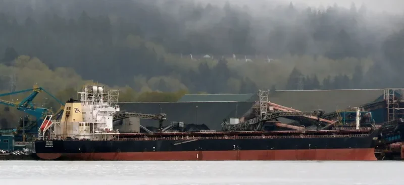 STAR PEACE Bulk Carrier IMO 9568718 photo 3