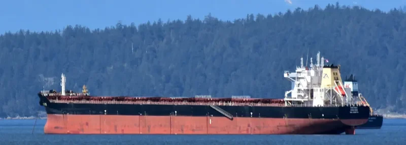 STAR PEACE Bulk Carrier IMO 9568718 photo 7