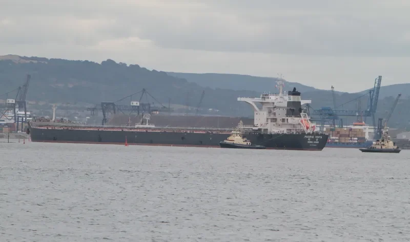 PACIFIC VISTA Bulk Carrier IMO 9568914