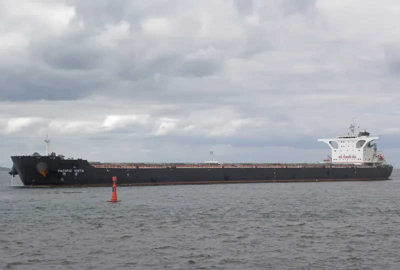 PACIFIC VISTA Bulk Carrier IMO 9568914 photo 6