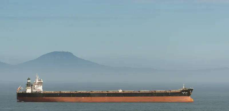 PACIFIC VISTA Bulk Carrier IMO 9568914 photo 8