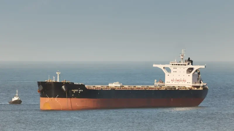 PACIFIC VISTA Bulk Carrier IMO 9568914 photo 9