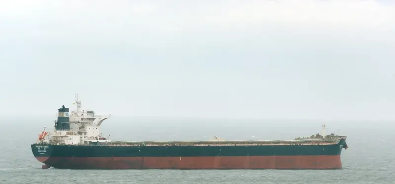 PACIFIC VISTA Bulk Carrier IMO 9568914 photo 10