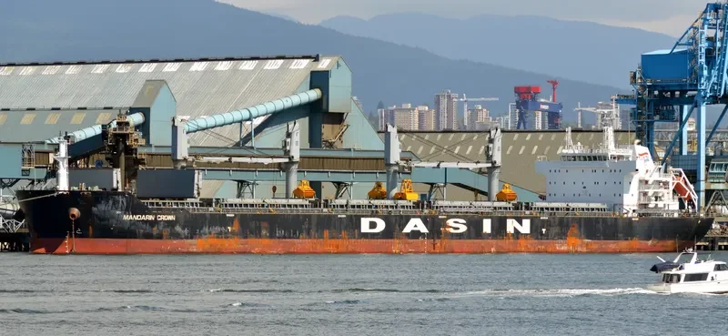 MANDARIN CROWN Bulk Carrier IMO 9569229 photo 3