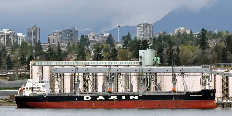 MANDARIN CHINA Bulk Carrier IMO 9569243