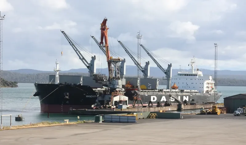 MANDARIN CHINA Bulk Carrier IMO 9569243 photo 9