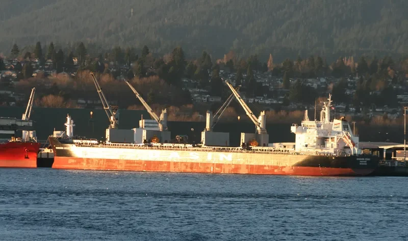 MANDARIN OCEAN Bulk Carrier IMO 9569255 photo 3