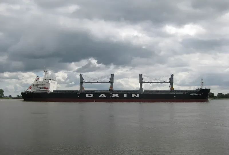 MANDARIN OCEAN Bulk Carrier IMO 9569255 photo 8