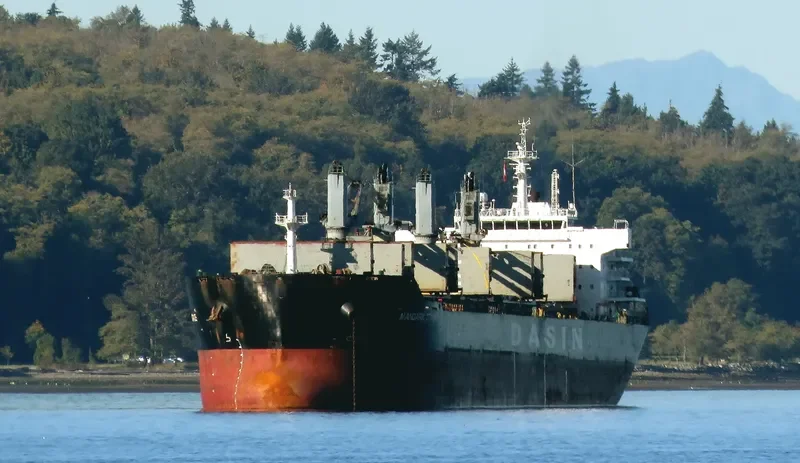 MANDARIN GRACE Bulk Carrier IMO 9569267 photo 2