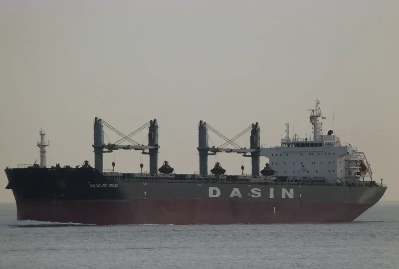MANDARIN GRACE Bulk Carrier IMO 9569267 photo 7