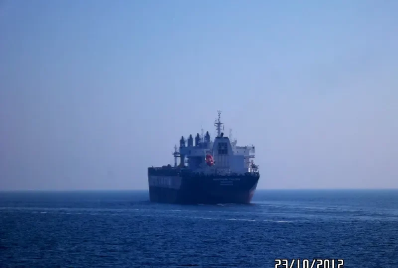 MANDARIN TRADER Bulk Carrier IMO 9569279 photo 5