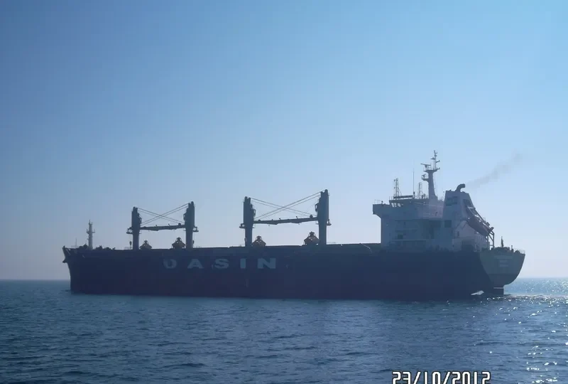 MANDARIN TRADER Bulk Carrier IMO 9569279 photo 7