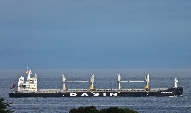 MANDARIN TRADER Bulk Carrier IMO 9569279 photo 8