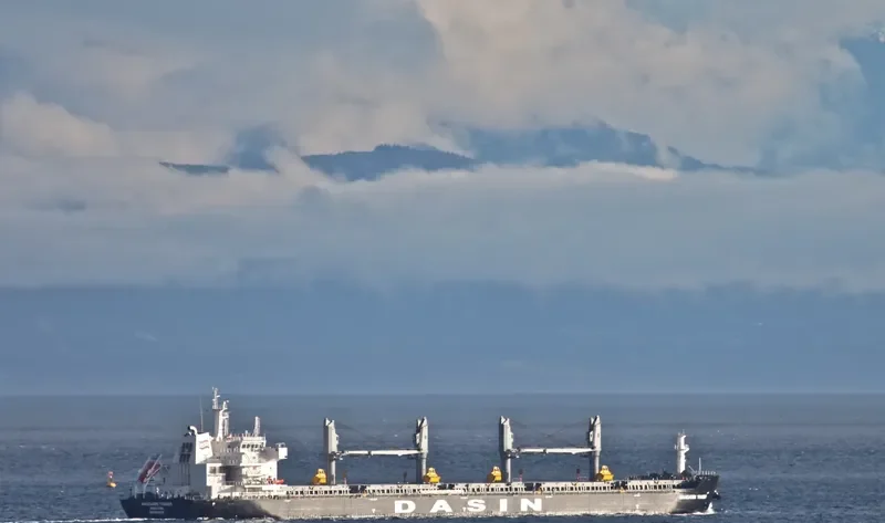 MANDARIN TRADER Bulk Carrier IMO 9569279 photo 10