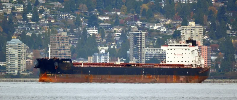 NURI BEY Bulk Carrier IMO 9569750 photo 3