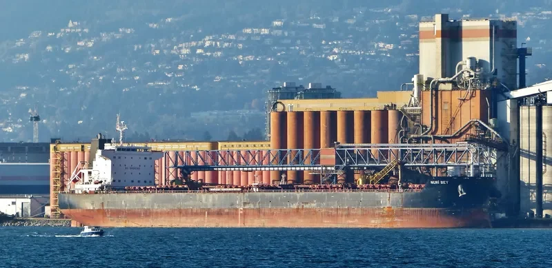 NURI BEY Bulk Carrier IMO 9569750 photo 5