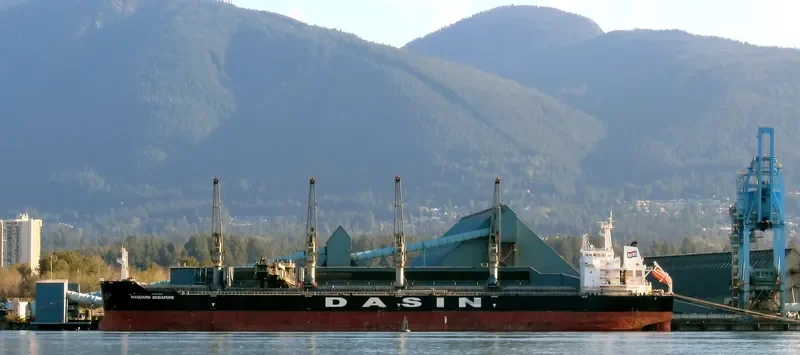 MANDARIN SINGAPORE Bulk Carrier IMO 9569968 photo 3