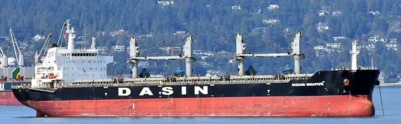 MANDARIN SINGAPORE Bulk Carrier IMO 9569968 photo 4