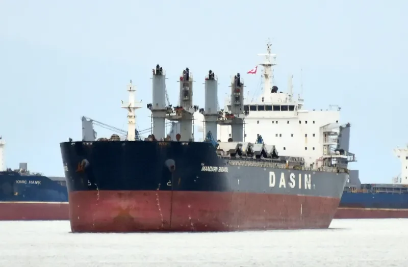 MANDARIN SINGAPORE Bulk Carrier IMO 9569968 photo 5