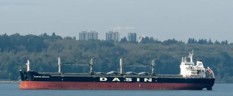 MANDARIN SINGAPORE Bulk Carrier IMO 9569968 photo 6