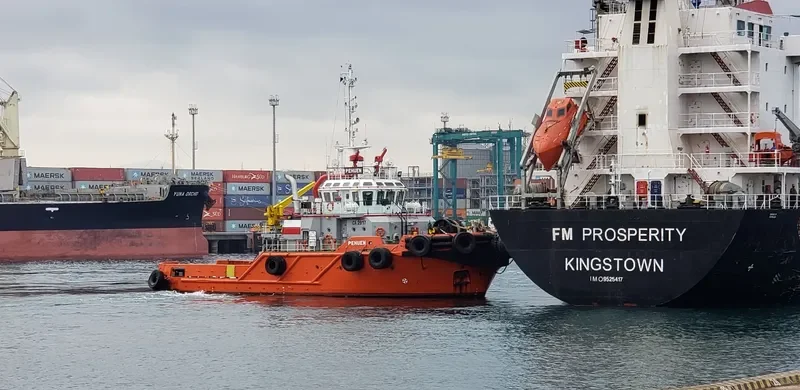 PEHUEN General Cargo IMO 9570149 photo 6